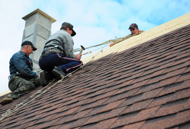 Best Local Roofing Companies  in Johnstown, PA